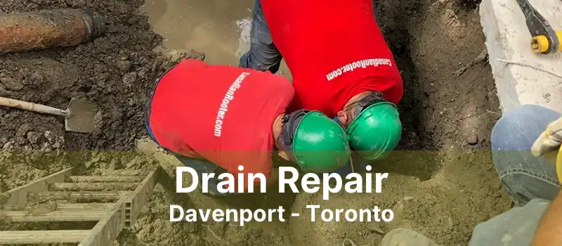 Drain Repair Davenport - Toronto